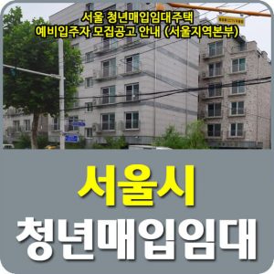 서울시 청년매입임대주택